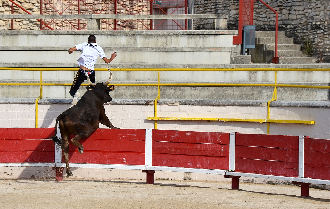 首发6